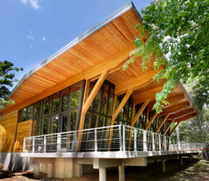 Sustainable Design in Architecture