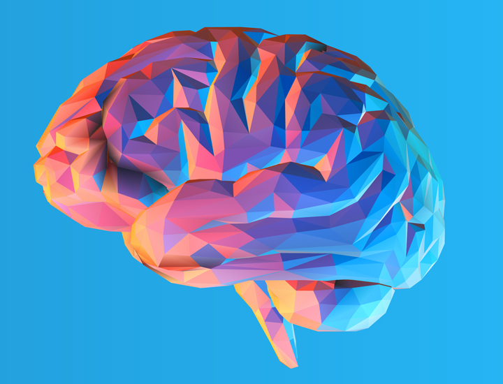 stylized and colorful image of a brain